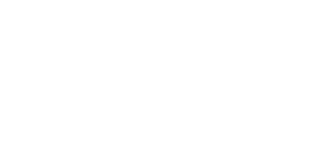 White Avaliis Logo